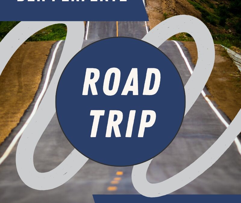 Ein neuer Lebensabschnitt: Der perfekte Roadtrip mit dem VW T4 oder T5