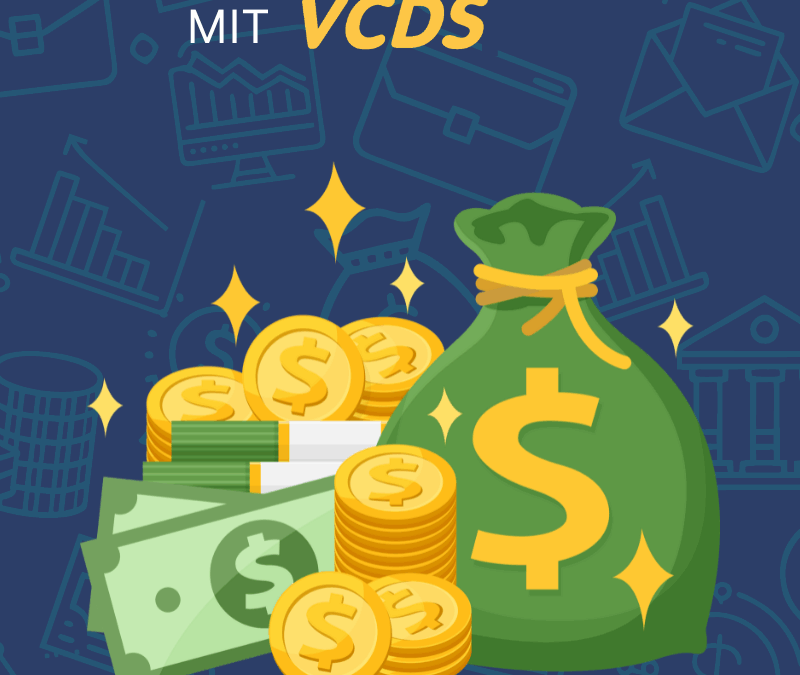 Checkliste Nebeneinkommen mit VCDS